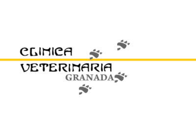 Clínica Veterinaria Granada